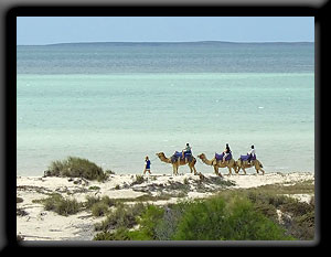 Shark Bay