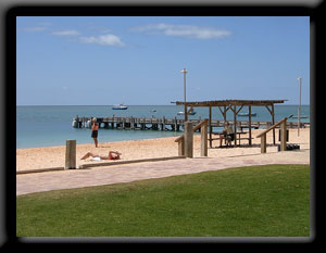 Monkey Mia - Shark Bay